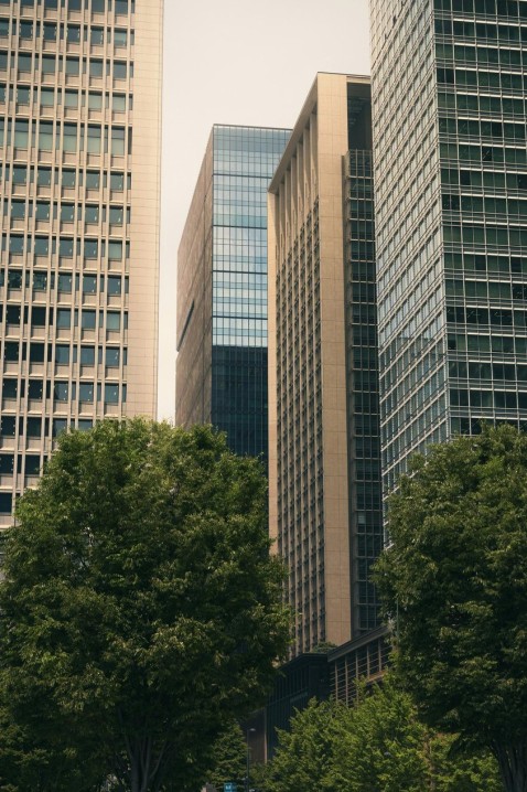 Discussion budgétaire